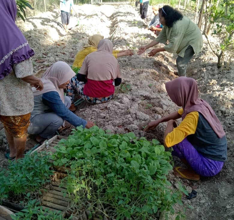 KWT (Kelompok Wanita Tani)